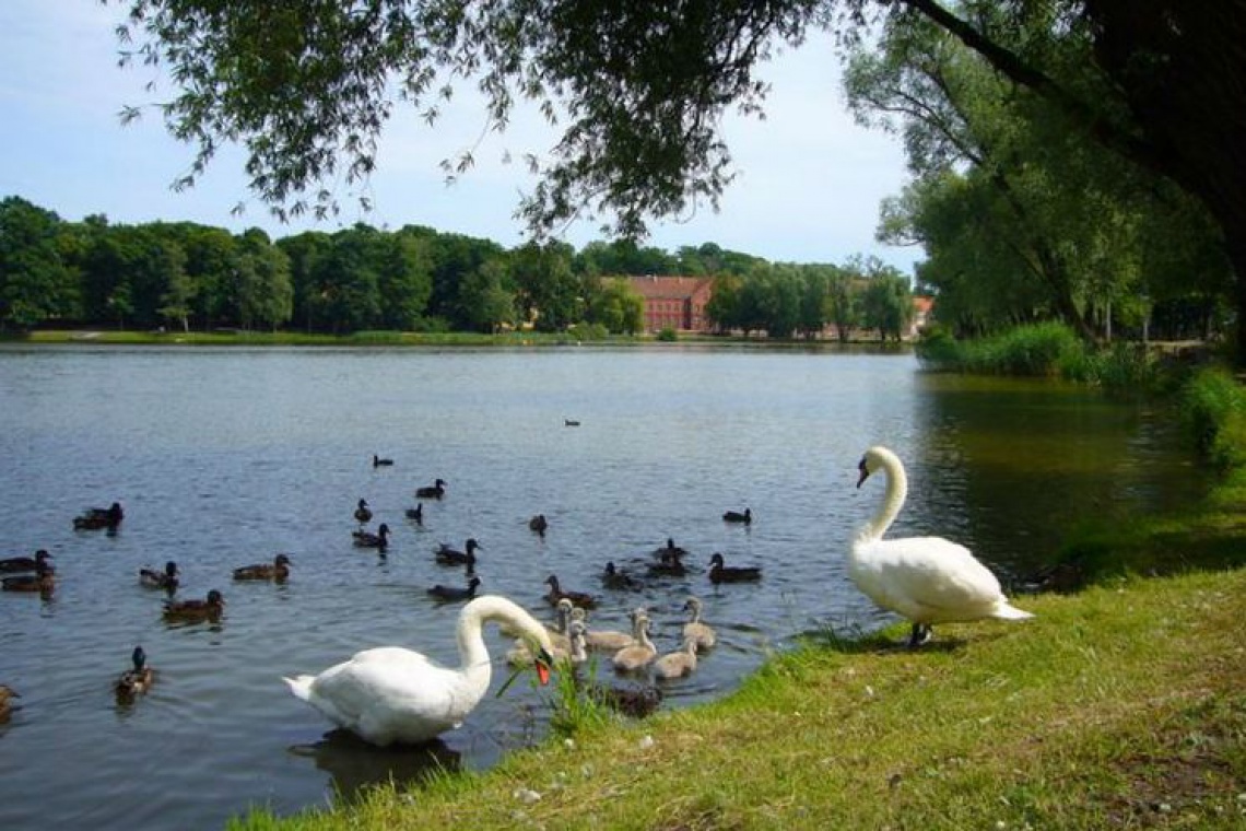 fot. Kętrzyn, barcja.org.pl Gmina Srokowo chce terenu rekreacyjnego nad jeziorem Silec