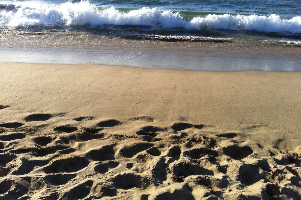 fot. pixabay.com To już pewne. Warszawska Białołęka będzie miała plażę