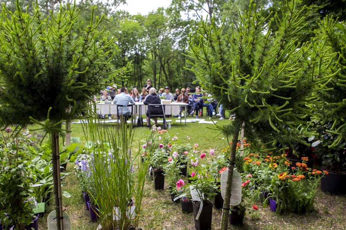 fot. mat. prasowe Warszawa w kwiatach i zieleni. Wielki sukces festiwalu