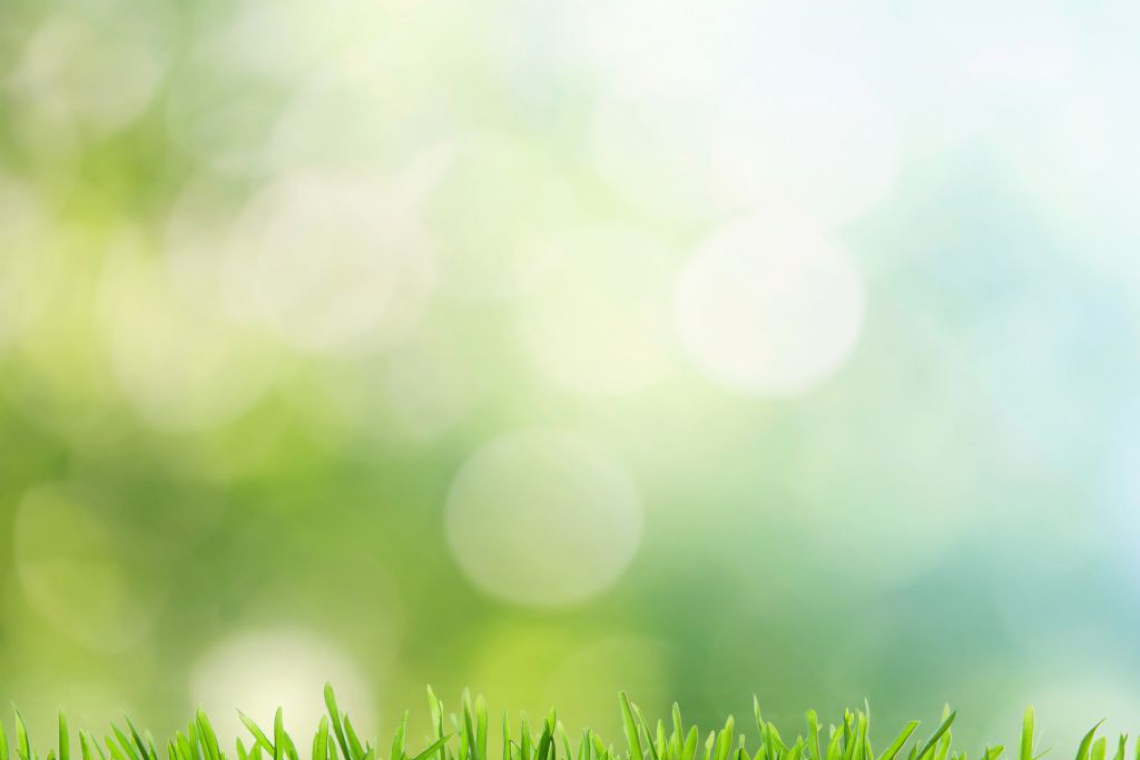 fot. Fotolia Ikea stawia na efektywność energetyczną
