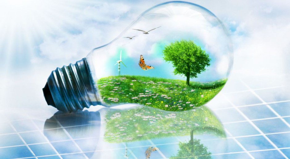Innowacyjny model biznesowy i efektywność energetyczna