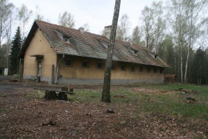 Drewno doda szlachetności