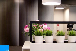 Base Architekci zaprojektowali unikalną restaurację