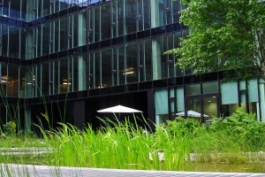 Wieczna zieleń na patio KBC według projektu Hadart