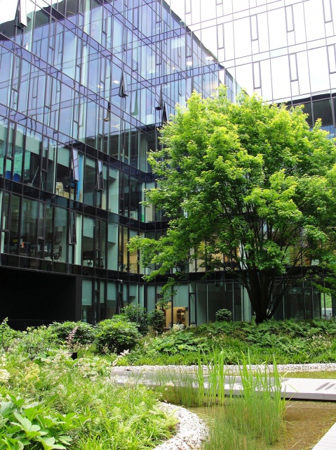 Konstruktorska Business Center, patio Wieczna zieleń na patio KBC według projektu Hadart