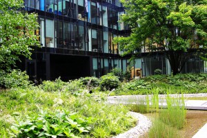 Wieczna zieleń na patio KBC według projektu Hadart