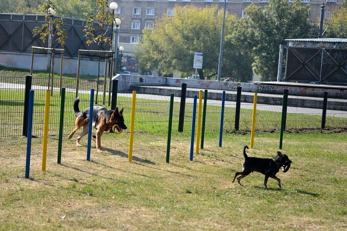 Psi wybieg, Warszawa, fot. UM Warszawa, R. Motyl Architektura z myślą o czworonogach: Psi wybieg w Warszawie