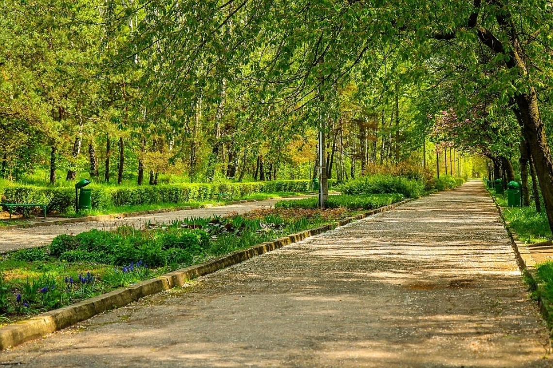 fot. Jaworzno.pl Jaworznianie sami projektują park im. Lotników Polskich