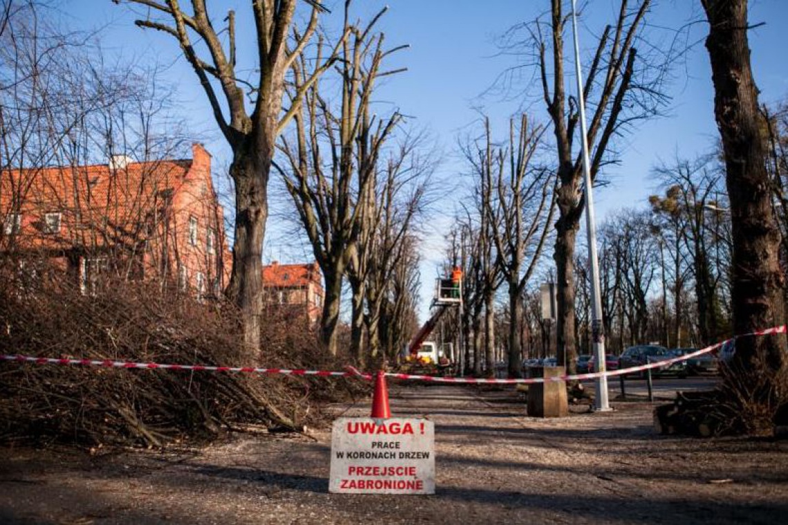 fot. gdansk.pl Gdańsk zyska kolejne urokliwe miejsce do spacerów
