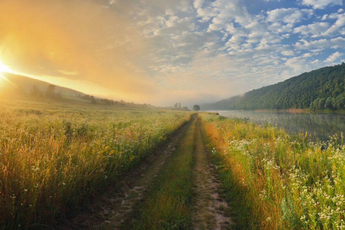 fot. Fotolia Co dalej z ustawą krajobrazową? Projekt wraca z Sejmu