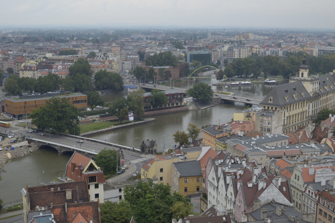 Wrocław, fot. AL / PTWP We Wrocławiu powołano koordynatora ds. rzek - czym będzie się zajmował?
