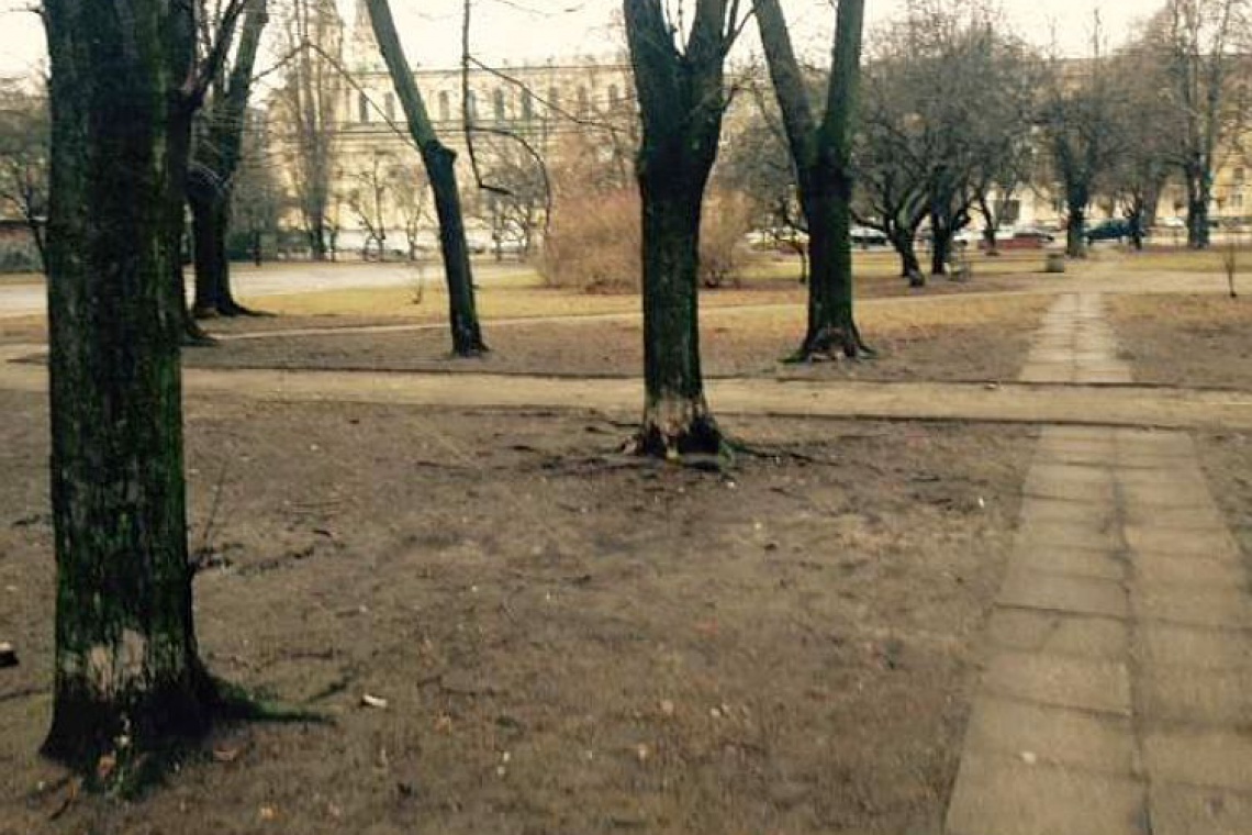 Tak obecnie wygląda Skwer Sybiraków w centrum Warszawy, jego powierzchnia to 1 ha Skwer Sybiraków na Woli doczeka się rewitalizacji