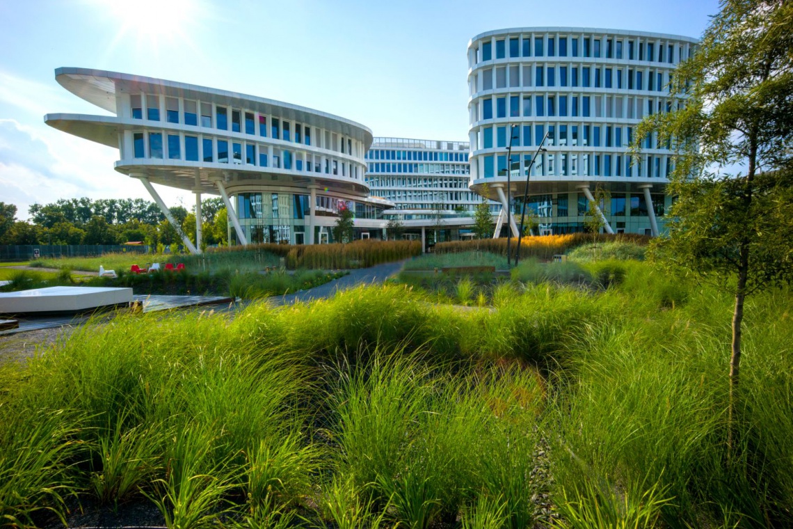 Business Garden Warszawa Zieleń w Business Garden Warszawa zajmuje 60 proc. terenu