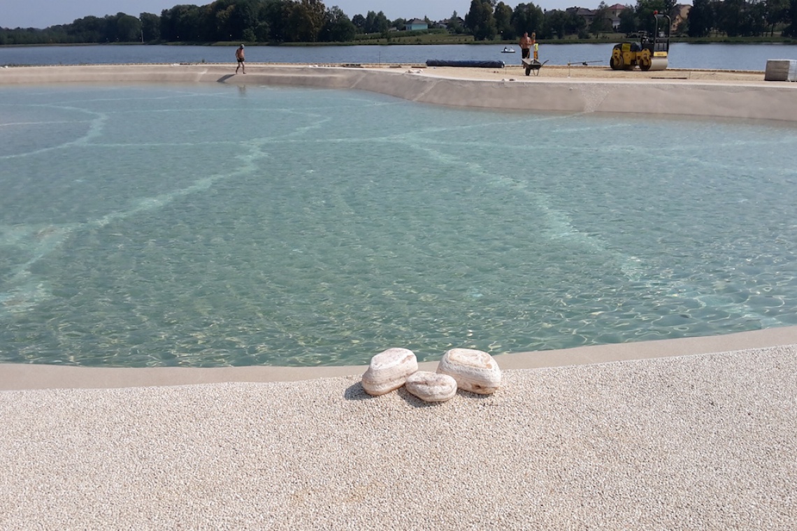 Basen w technologii Biodesignpools, fot. Garden Basen jak rajska plaża - największy na świecie i powstał w Polsce