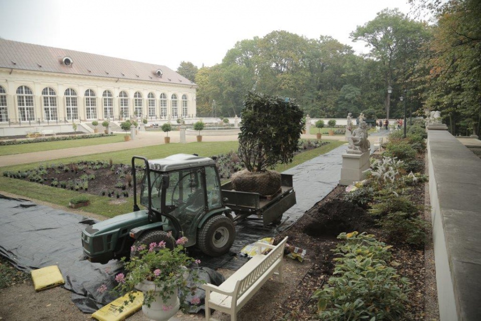 Jeszcze jesienne prace w Holenderskim Ogrodzie Kwiatowym, fot. Łazienki Królewskie / materiały prasowe Ogród kwiatowy inny niż wszystkie powstał w Łazienkach Królewskich