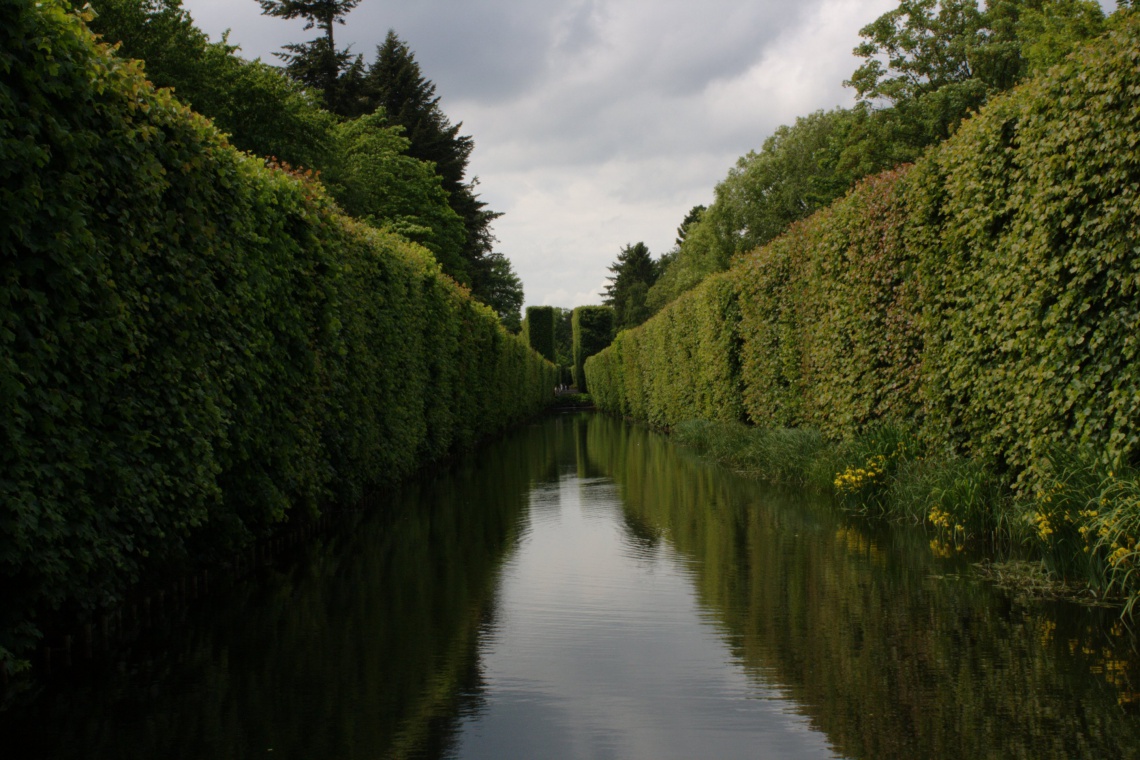 Park Oliwski, autor: Mariusz Chilmon, źródło: flickr.com Palmiarnia, nowa oranżeria i motylarnia - tak się zmieni Park Oliwski