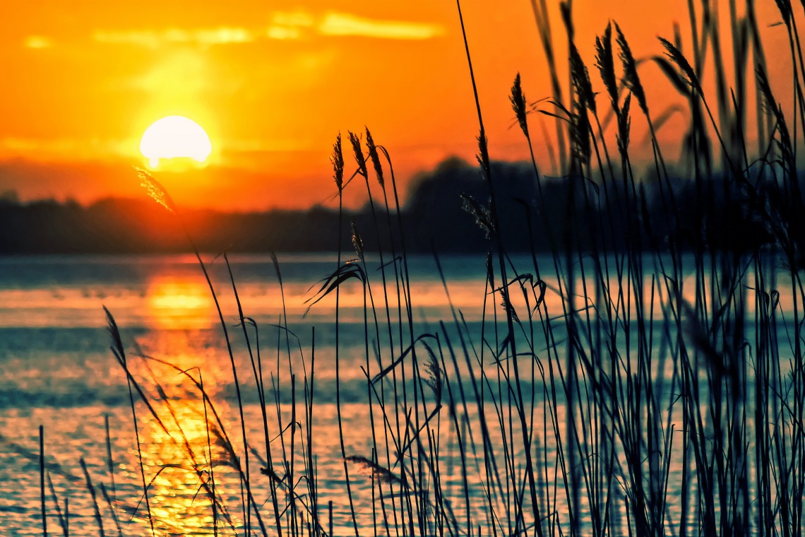 fot. pixabay.com Starachowice szukają pomysłu na teren przy zalewie „Lubianka”