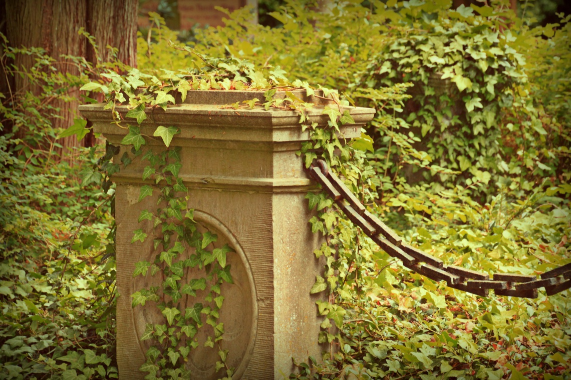 Fot. pixabay Na Mazurach odsłonięto Panteon Żołnierzy Wyklętych