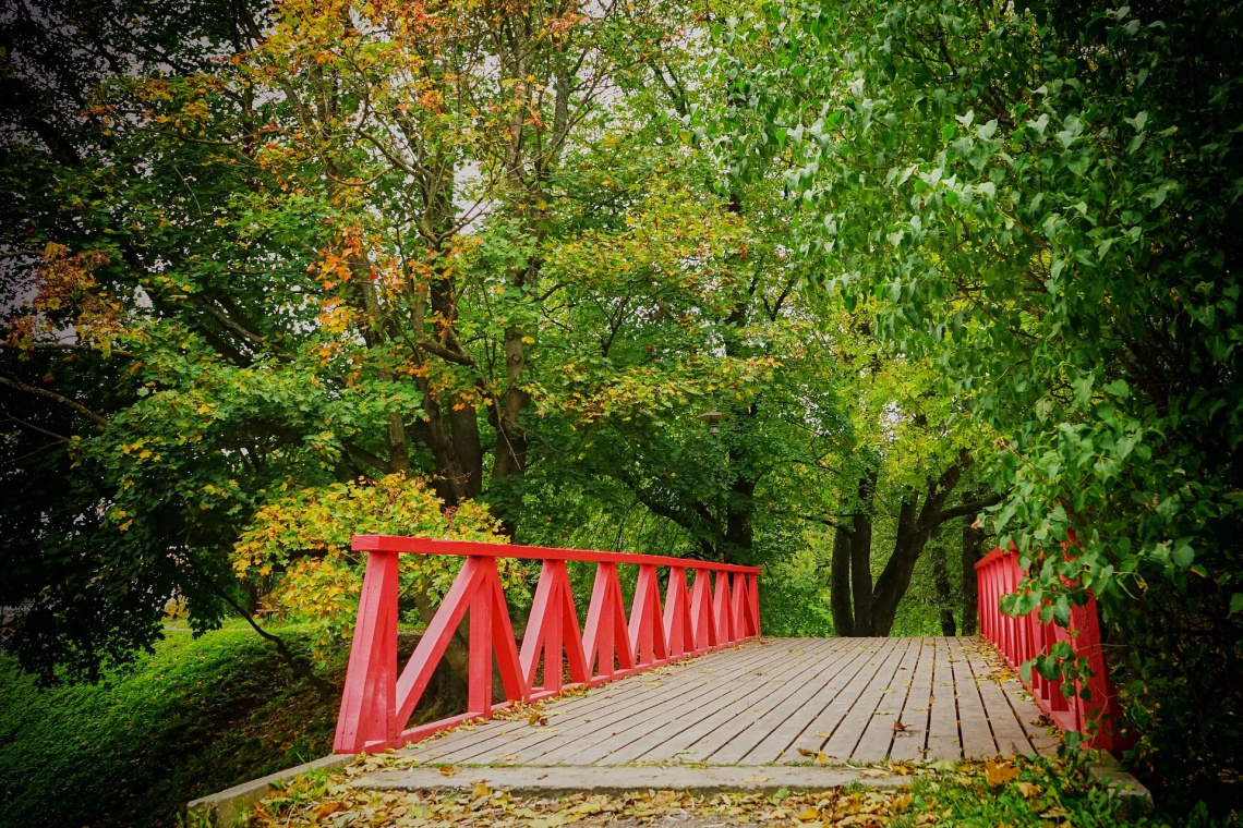 fot. pixabay.com Łódź w drzewach i kwiatach. Aż 11 zielonych projektów w planie