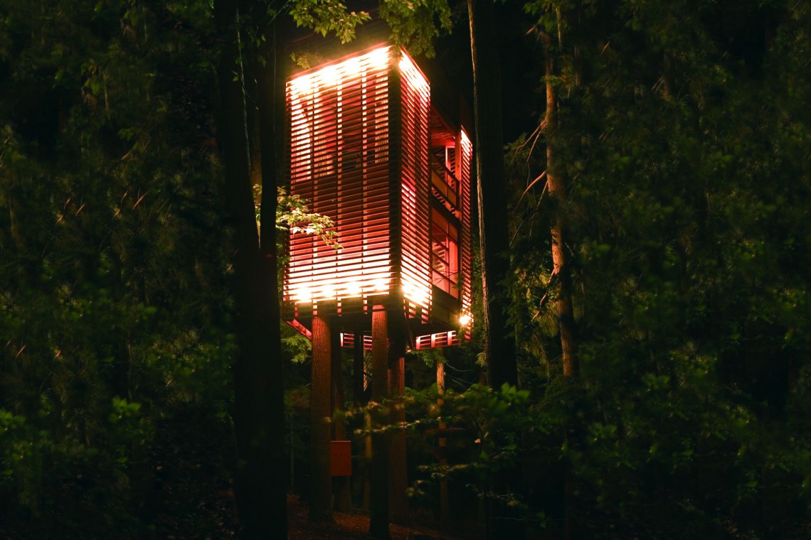 4 Tree House - Walkers Point, Kanada. Fot. Łukasz Kos. Domy na drzewie i nie tylko. Zobacz projekty pracowni Four O NIne i przyjdź na wykład