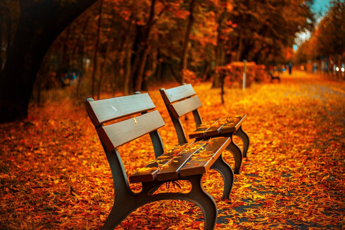 Fot. Pixabay W Chęcinach powstanie park miejski