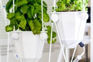 Spacery w kosmicznym skafandrze, posiłki z insektów i kosmiczne burze
