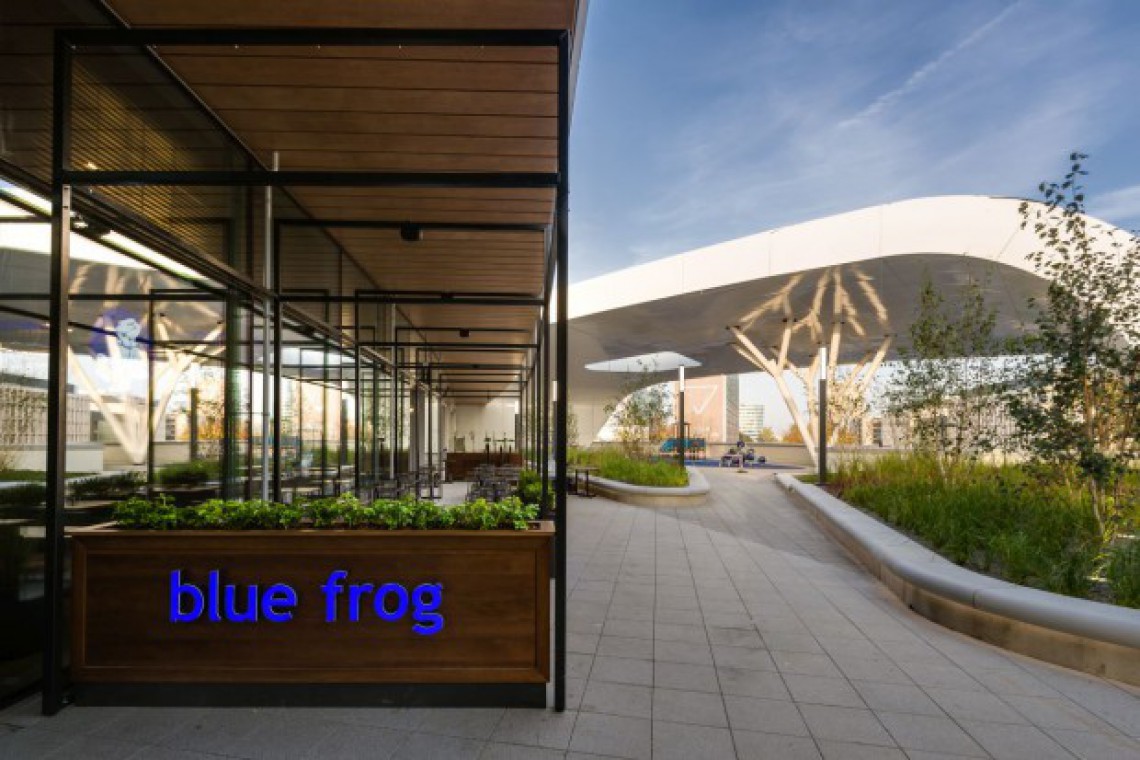 Pierwszy Blue Frog jest już w Polsce