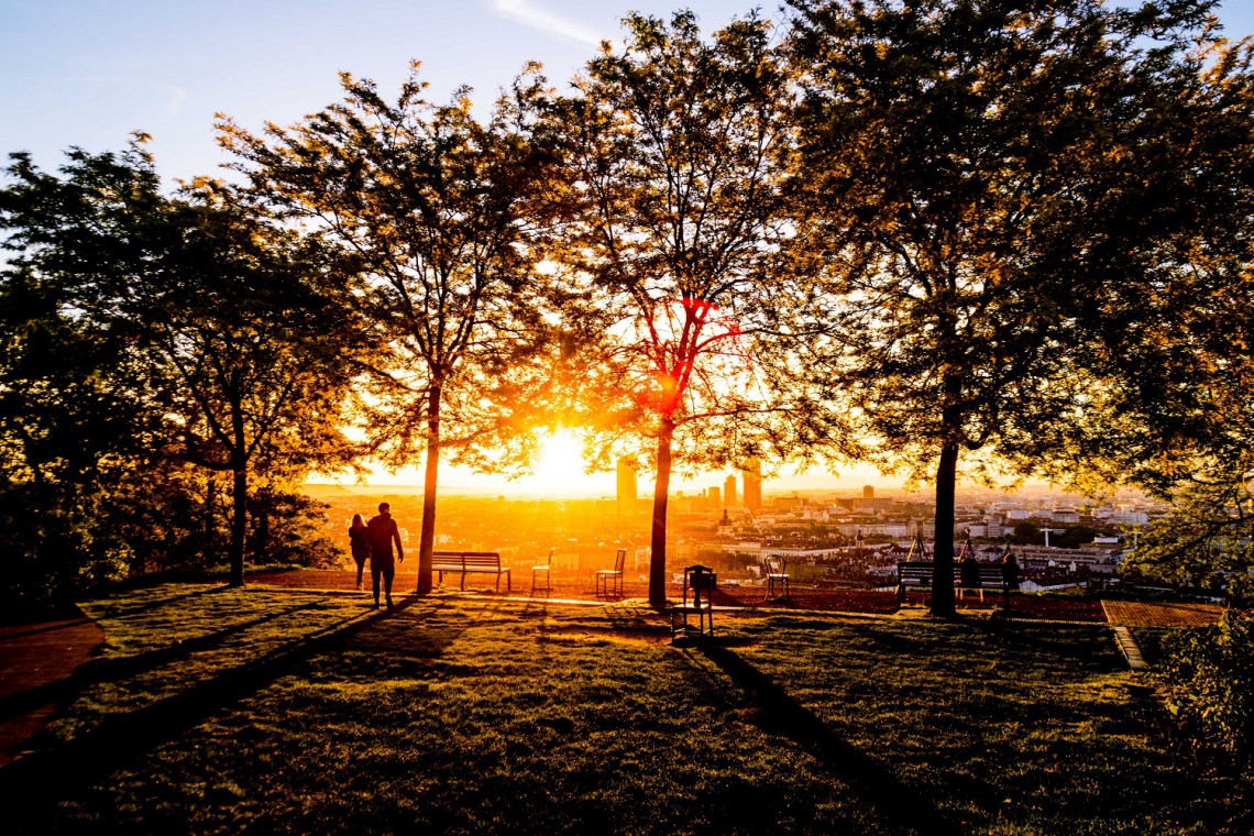 fot. unsplash Park Skaryszewski odnowi swoją zieleń