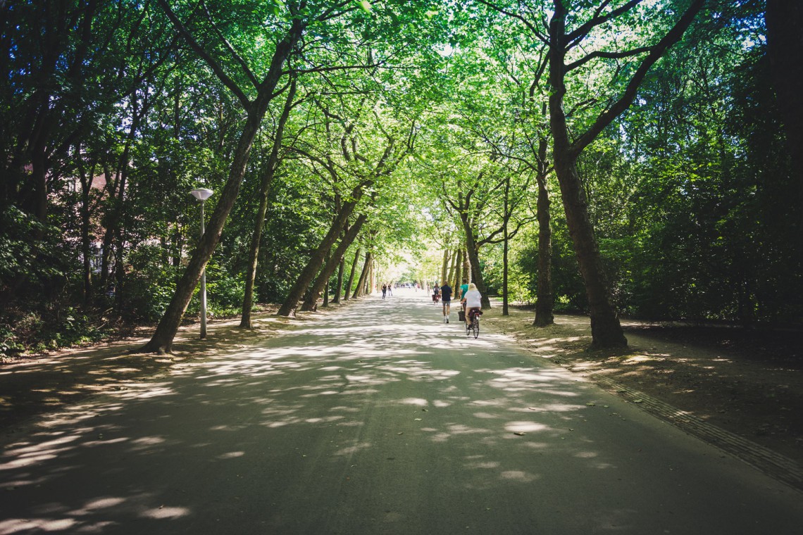 fot. Unsplash Nie będzie pola golfowego. Białe Morza zmienią się w wielką zieloną przestrzeń miejską