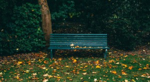 Białystok szuka wykonawców przebudowy Parku Planty i Bulwarów Kościałkowskiego