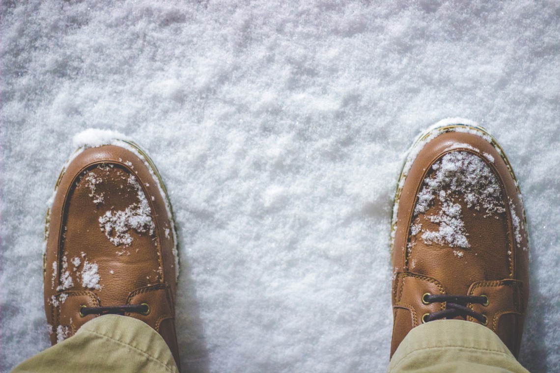 Fot. unsplash Kraków otworzy Zimowy Ogród Doświadczeń
