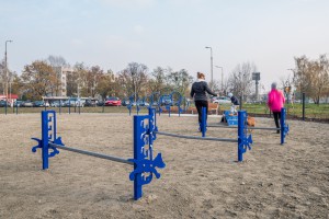We Wrocławiu otwarto nowy park. To Park Jedności spod kreski AP Szczepaniak