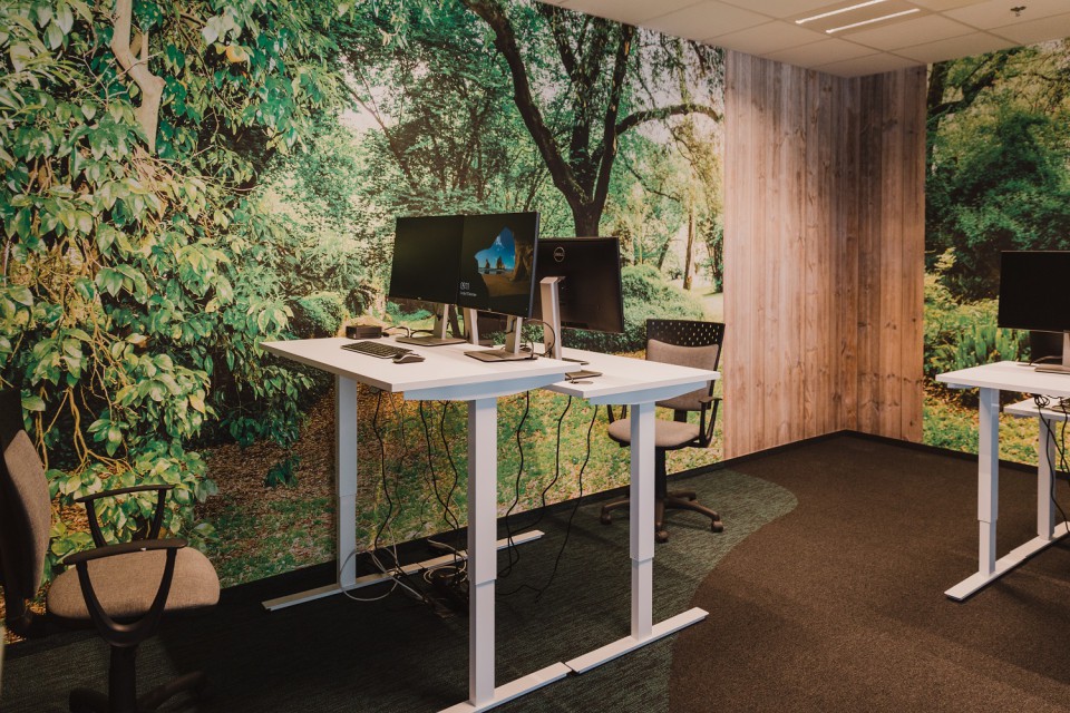 Focus room garden w biurze Goyello, fot. Goyello Biuro Goyello w Olivia Business Centre to rowerowa podróż po polsko-holenderskiej krainie