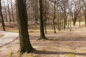 Park do rekreacji i sportu. Z myślą o najmłodszych i nieco starszych