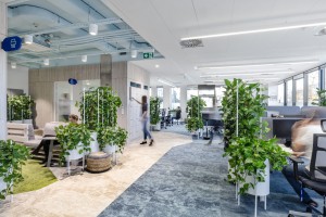 Najbardziej zielone biuro na świecie?