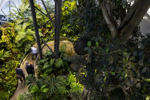 Tu "amazońska dżungla" nabiera nowego znaczenia. Światowy gigant z lasem deszczowym w siedzibie