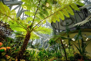 Tu "amazońska dżungla" nabiera nowego znaczenia. Światowy gigant z lasem deszczowym w siedzibie