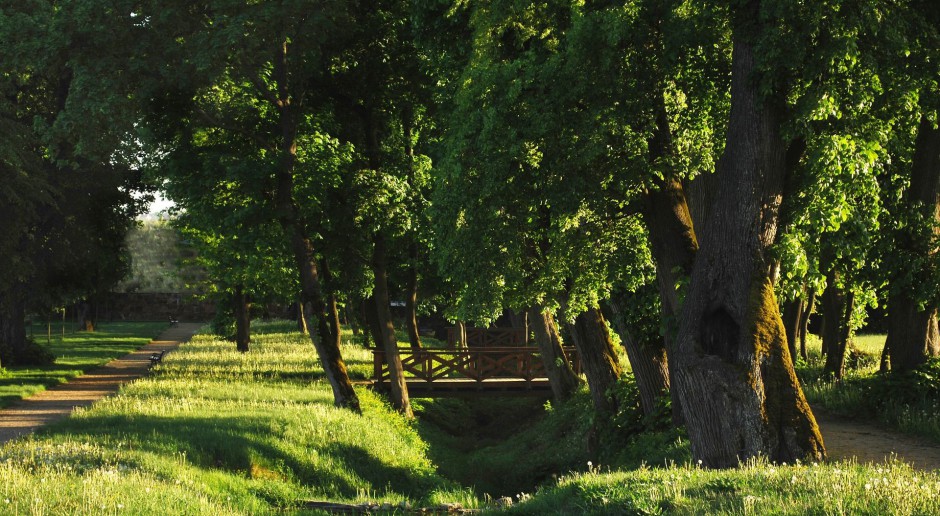 Popularny Skaryszak idzie do remontu. Co się zmieni w parku?