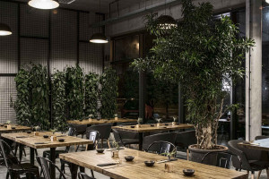 Restauracja serwująca kuchnię azjatycką i zarazem klimatyczny bar. A do tego design, który zachwyca!