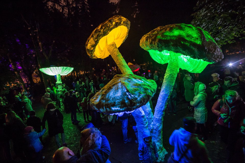 fot. mat. Signify Festiwal Teatrów Światła w Pile. Tegoroczna edycja będzie wyjątkowa