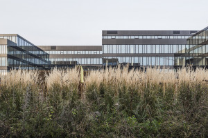 Oto ekologiczny kompleks biurowy autorstwa JEMS Architekci