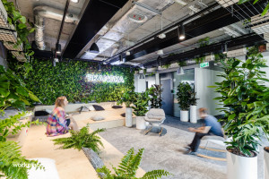 Biophilic vademecum - jak stworzyć zdrową przestrzeń pracy 