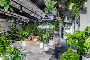 Biophilic vademecum - jak stworzyć zdrową przestrzeń pracy 