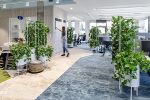Biophilic vademecum - jak stworzyć zdrową przestrzeń pracy 