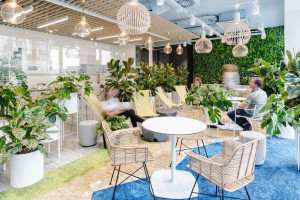 Biophilic vademecum - jak stworzyć zdrową przestrzeń pracy 
