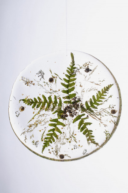 Biophilic design: wpuść przyrodę do wnętrza