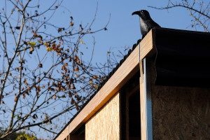 Mała i wspaniała… Palletecture na Śląsku!