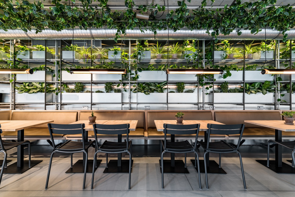 Vienna House Mokotow Warsaw, fot. mat. pras. TOP: Hotele, kina, biurowce... Oto wielkie otwarcia pierwszej połowy 2019 roku