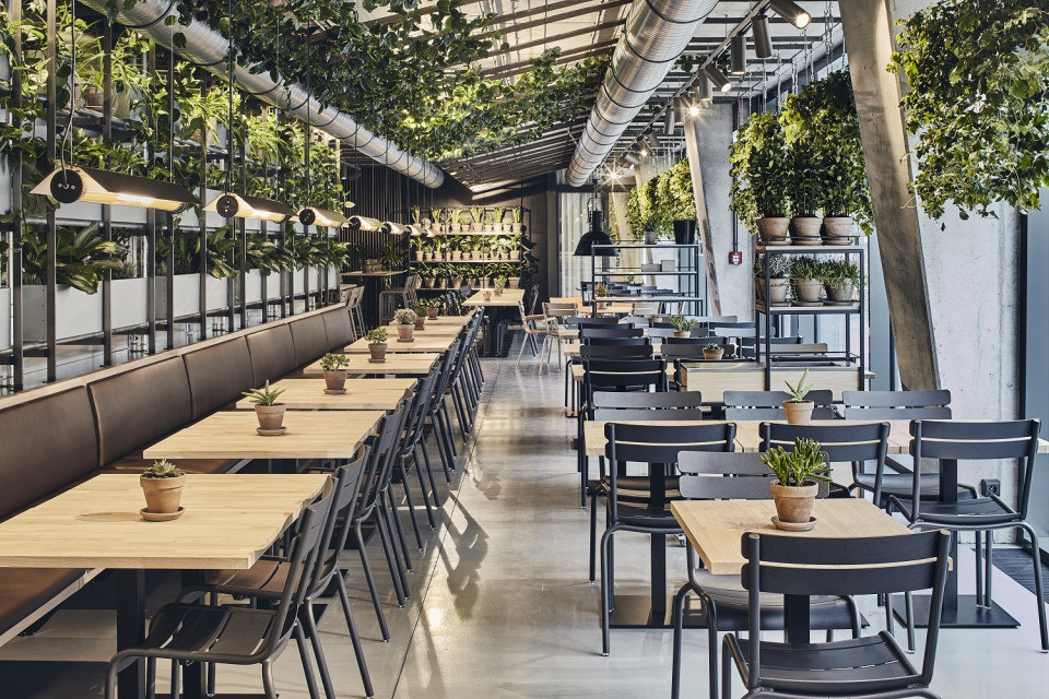 Vienna House Mokotow Warsaw, fot. mat. pras. TOP: Hotele, kina, biurowce... Oto wielkie otwarcia pierwszej połowy 2019 roku