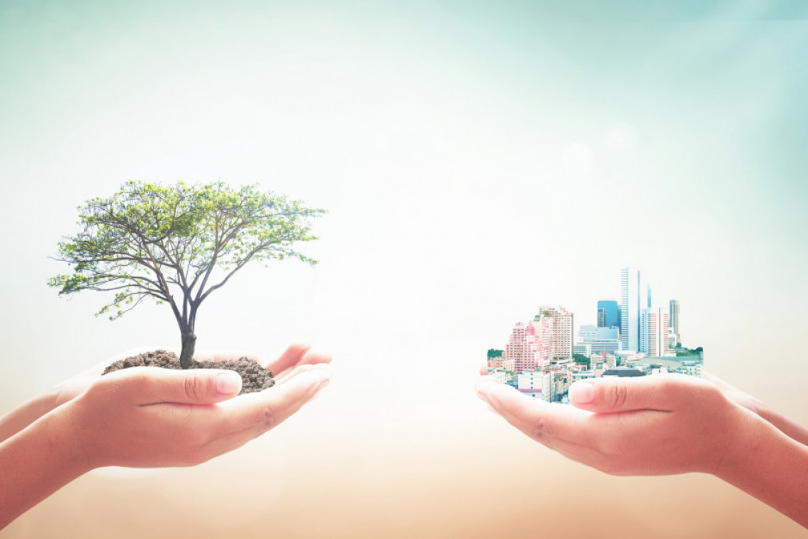 Fot. Fotolia Modernizacja i automatyzacja budynków szansą na zmniejszenie emisji?